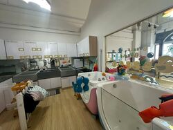 Primz Bizhub (D25), Factory #627484911